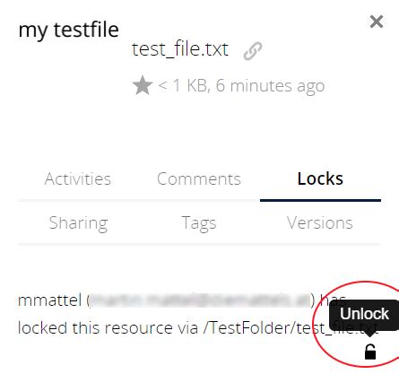 Click on the Enter result button, to enter result. . Owncloud file is locked and cannot be deleted